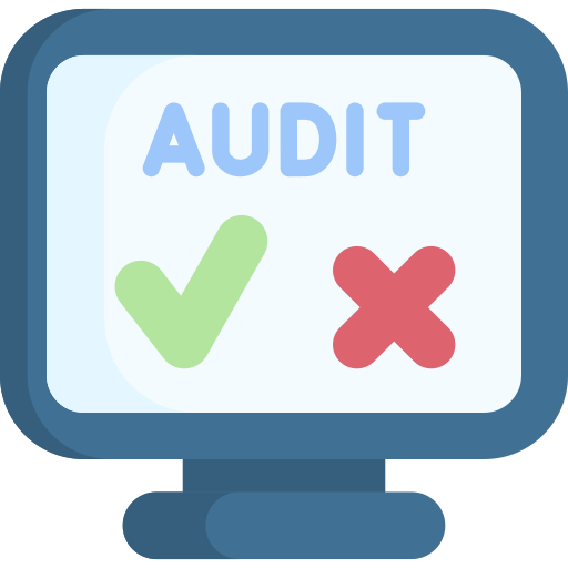 Website Audit